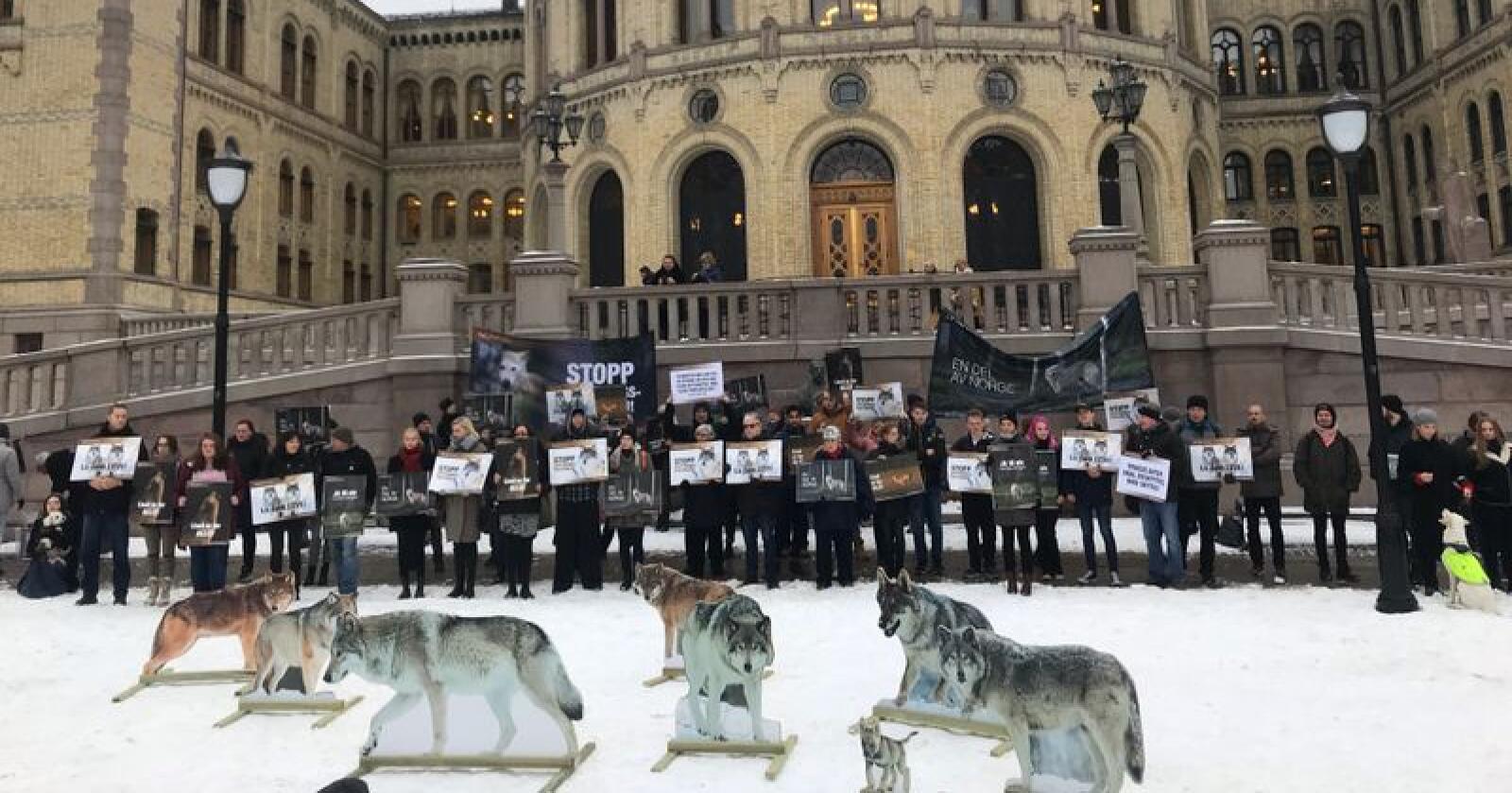 NOAH - for dyrs rettigheter arrangerte demontrasjon mot regjeringens  ulvevedtak utenfor Stortinget tirsdag. Foto: Lars Bilit Hagen