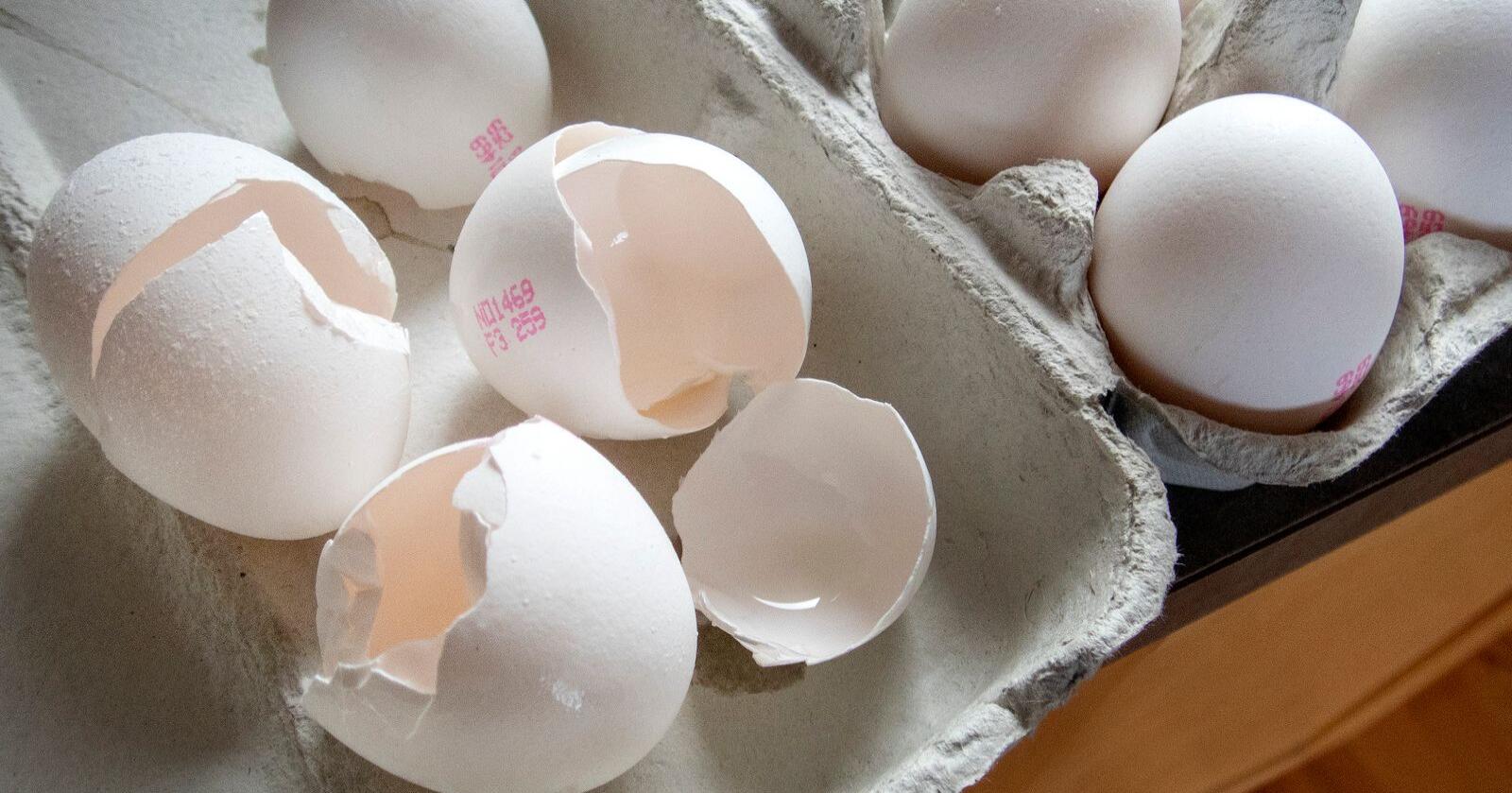 En ukes kortere holdbarhet for egg – fra 35 til 28 dager – kan bety kroken på døren for eggprodusentene i distriktene. Foto: Gorm Kallestad / NTB