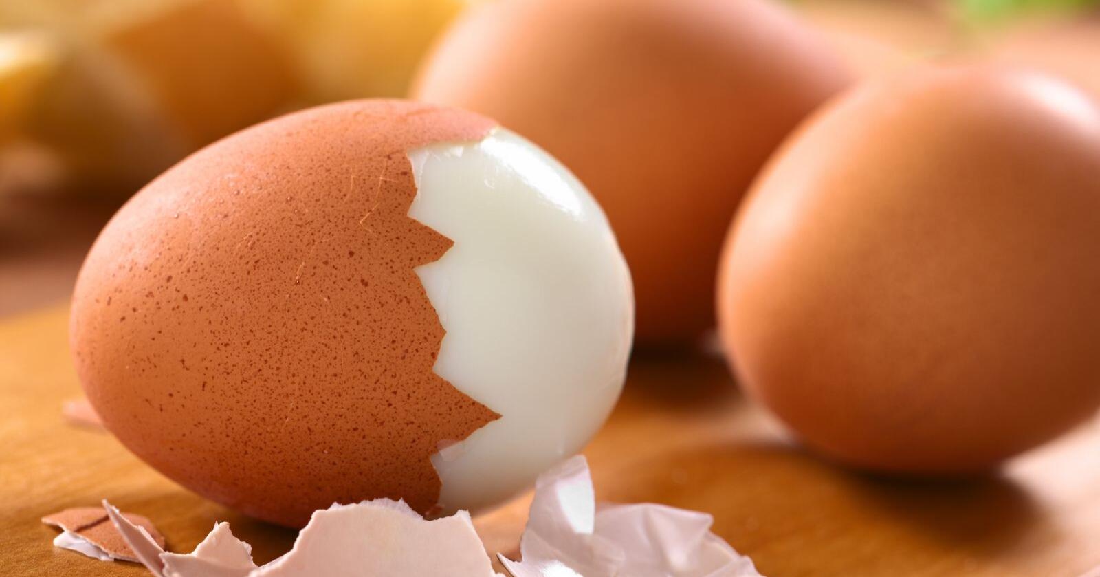 Vi forventar at regjeringa leverer på ei endring av eggproduksjonen som sikrar dei etablerte eggprodusentane ei berekraftig framtid, skriv forfattarane av innlegget. Foto: Mostphotos