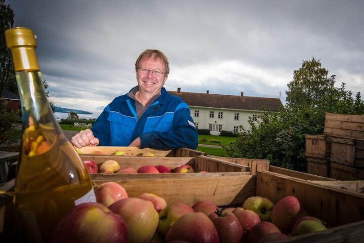 Eplebonde Knut Braastad deler gjerne av sin kunnskap om epleproduksjon. Han er en av dem som nå er veileder for yngre bønder som vil komme i gang, og som har bruk for litt råd på veien. Foto: Vidar Sandnes