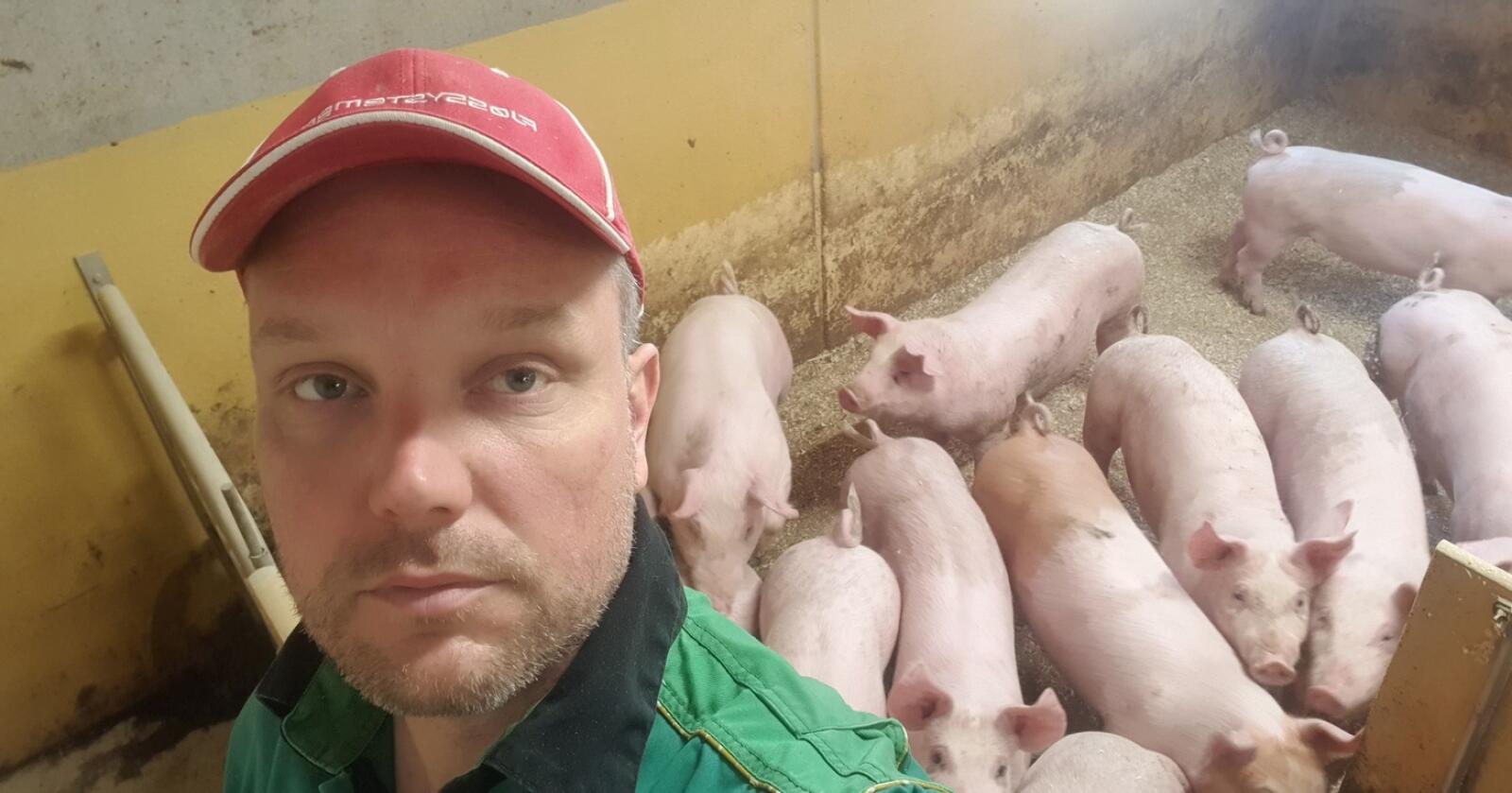 Kostnadshopp: Stig Garstad (41) frå Gausdal har fått nær 30 prosent prishopp på kraftfôr til grisene siste året og må betale 230.000 kroner meir enn anslaga som ligg til grunn for jordbruksoppgjeret. Nå ber han partane rette opp tala. Foto: Privat