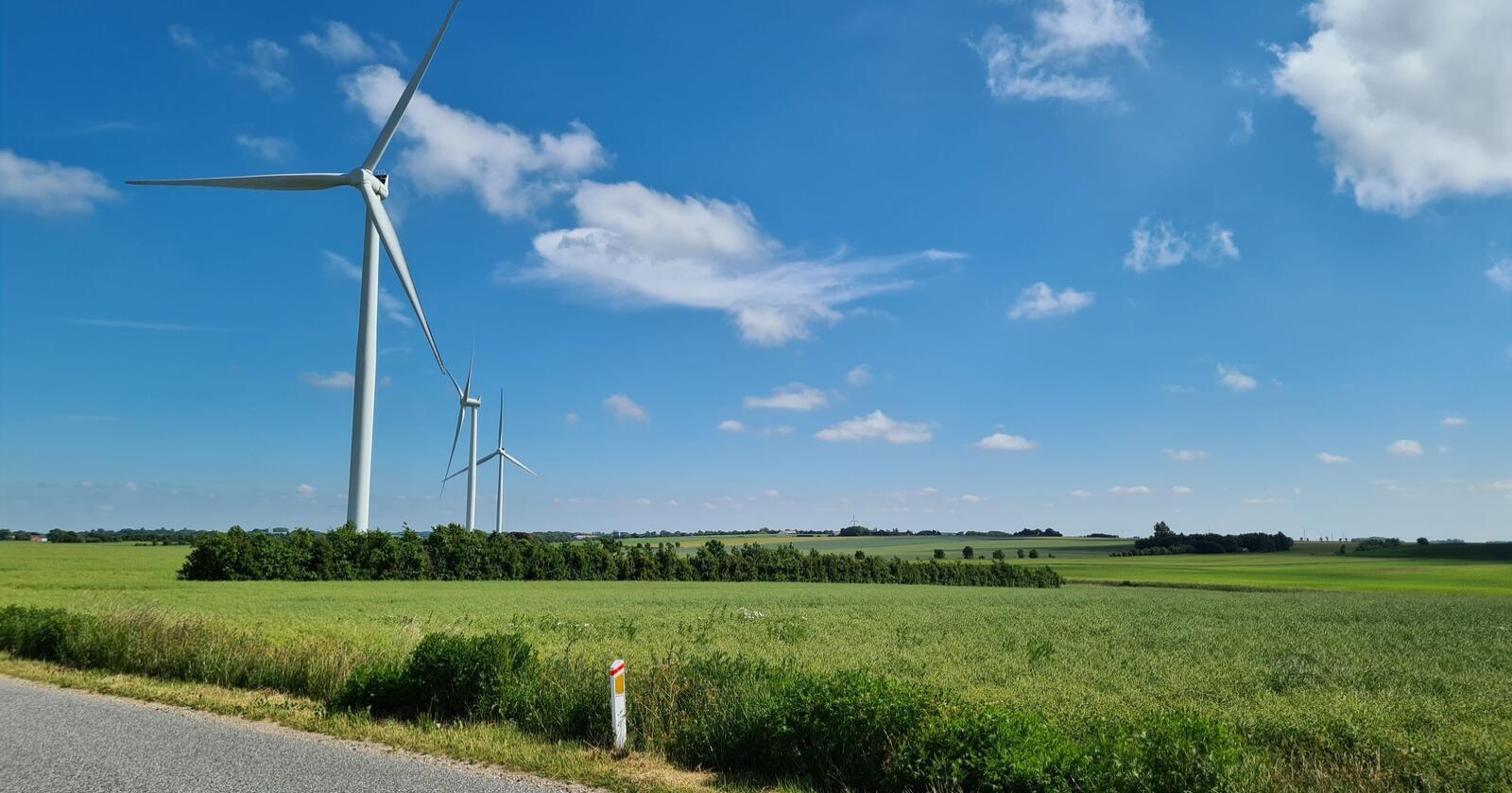 Norsk Vindkraftforening mener det må bli enklere å ha lokal energiproduksjon. Her fra Danmark. Foto: Jon-Fredrik Bækgaard Klausen 