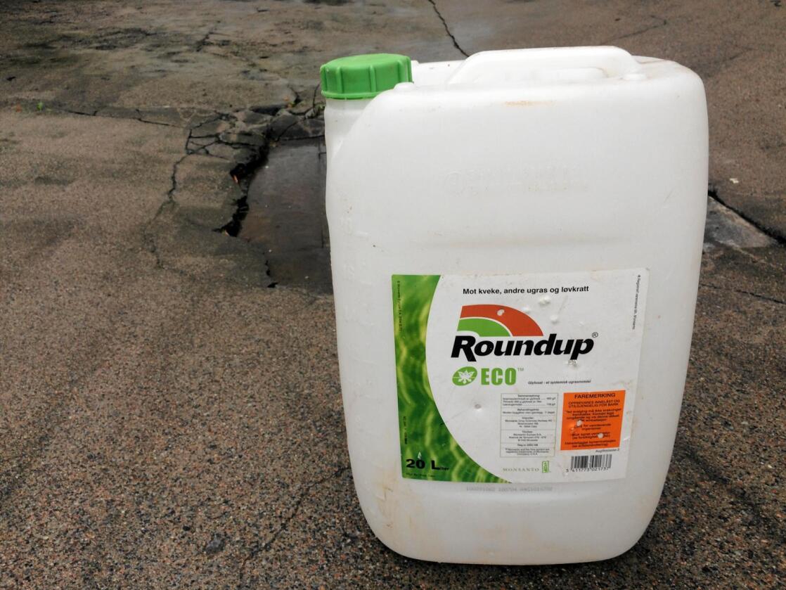 Glyfosat er virkestoffet i ugressmiddelet Roundup, som produseres av amerikanske Monsanto. Foto: Svein Egil Hatlevik