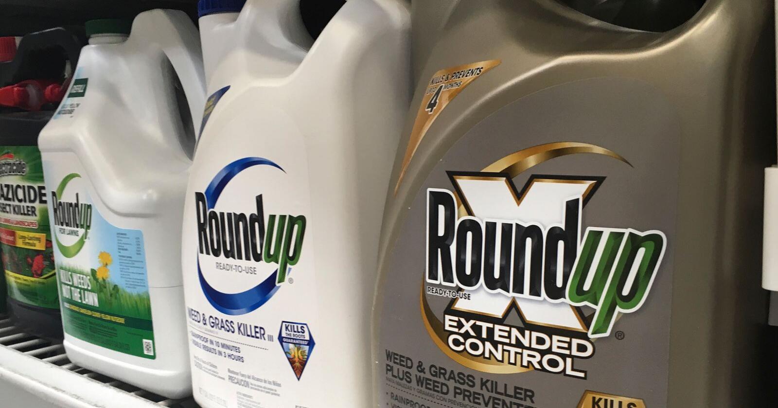 Da Bayer kjøpte selskapet Monsanto i 2018, fikk de med seg en lang rekke søksmål mot plantevernmiddelet Roundup på kjøpet. Arkivfoto: Haven Daley / AP / NTB