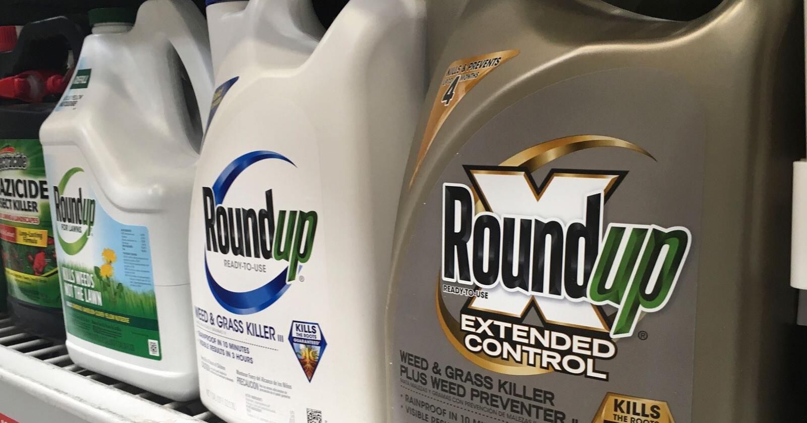 Da Bayer kjøpte selskapet Monsanto i 2018, fikk de med seg en lang rekke søksmål mot plantevernmiddelet Roundup på kjøpet. Arkivfoto: Haven Daley / AP / NTB