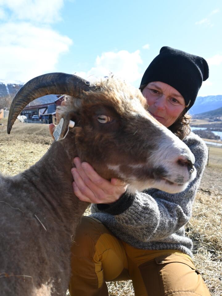 VANSKELIG: Kari bor i Skjåk, og har dyra sine på beite i områder som er preget av mye jerv. 