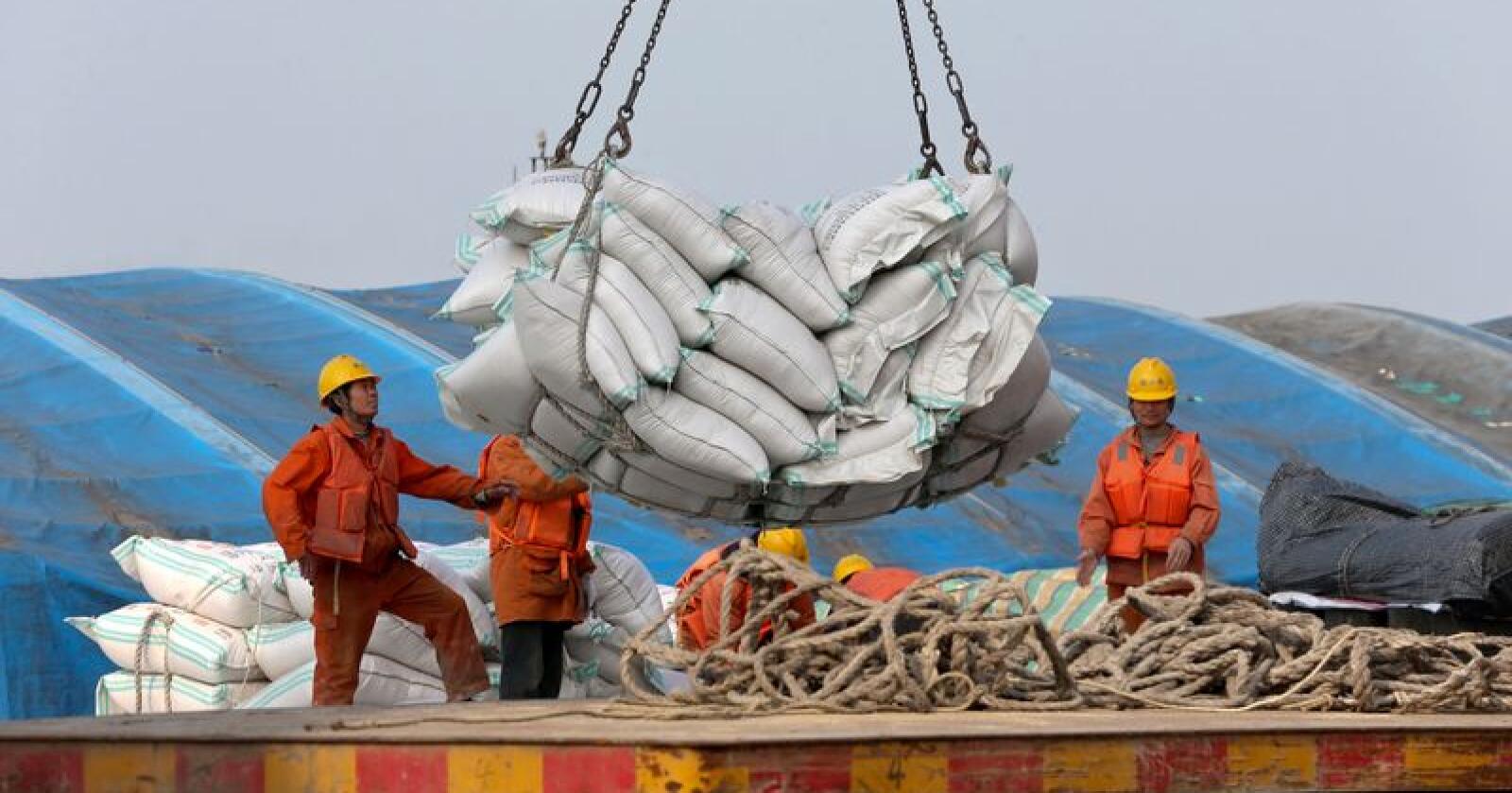 Kinesiske arbeidere laster importerte soyabønner i Jiangsu-provinsen øst i Kina. Kina kunngjorde onsdag at de vil innføre toll på amerikanske soyabønner og 105 andre amerikanske produkter. Foto: AP / NTB scanpix.