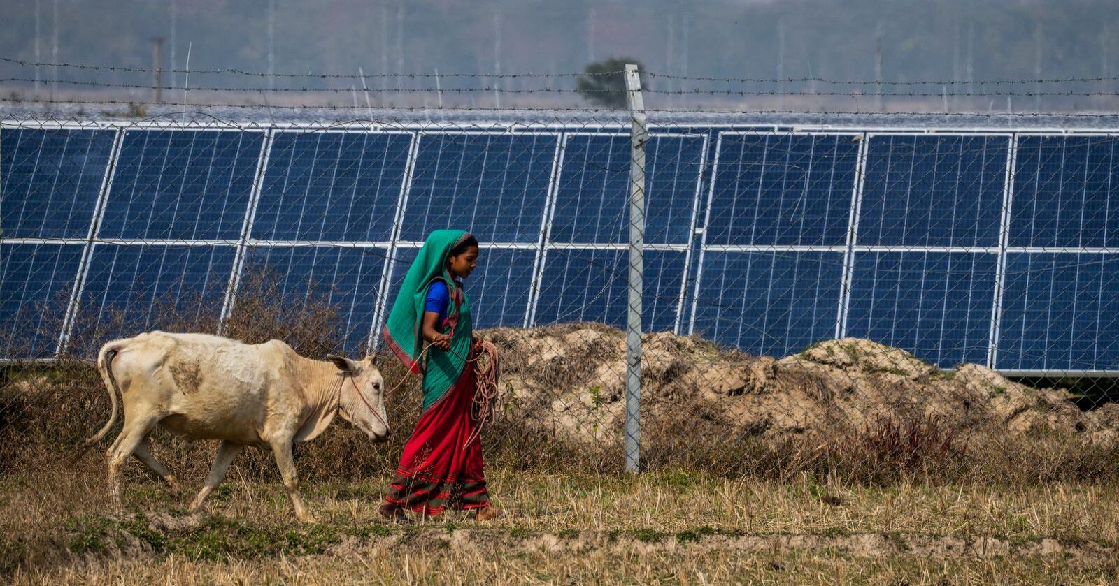 Billigere solkraft kan bidra til at verden når klimamålene, slik de blir beskrevet i Parisavtalen fra 2015, ifølge FNs klimapanel. Foto: Anupam Nath / AP Photo / NTB