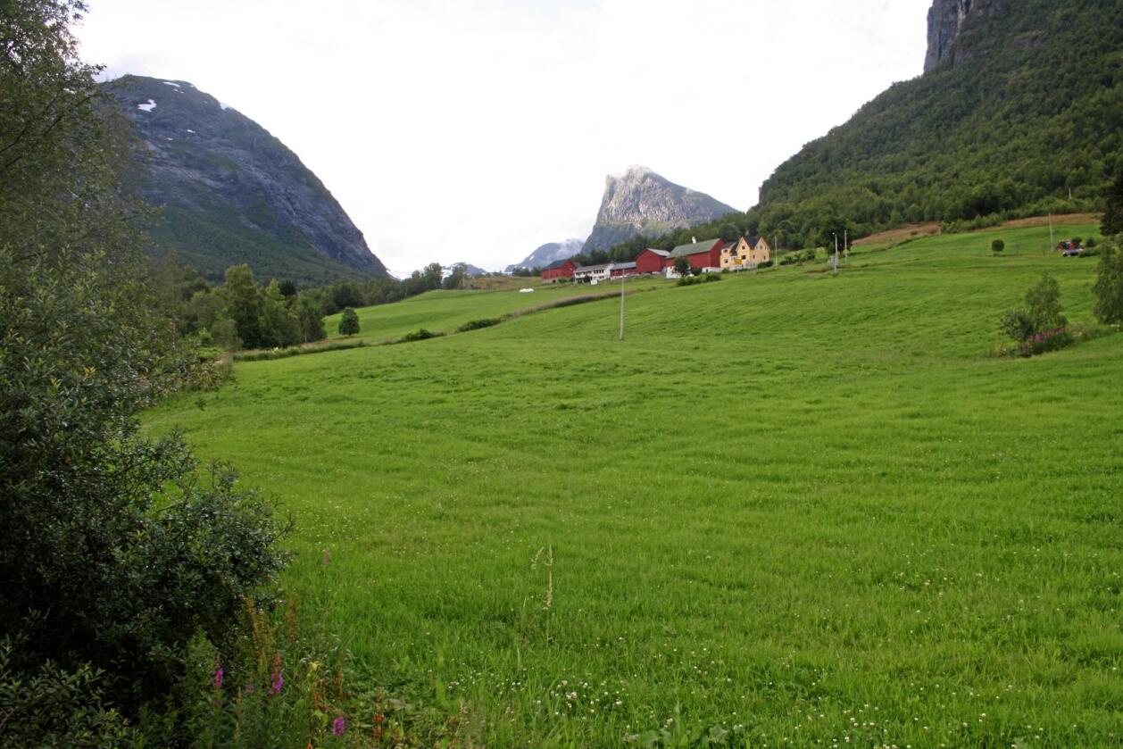 Møre og Romsdal er eit av fylka som har hatt størst prisvekst på landbrukseigedommar dei siste ti åra. Foto: Bjarne Bekkeheien Aase