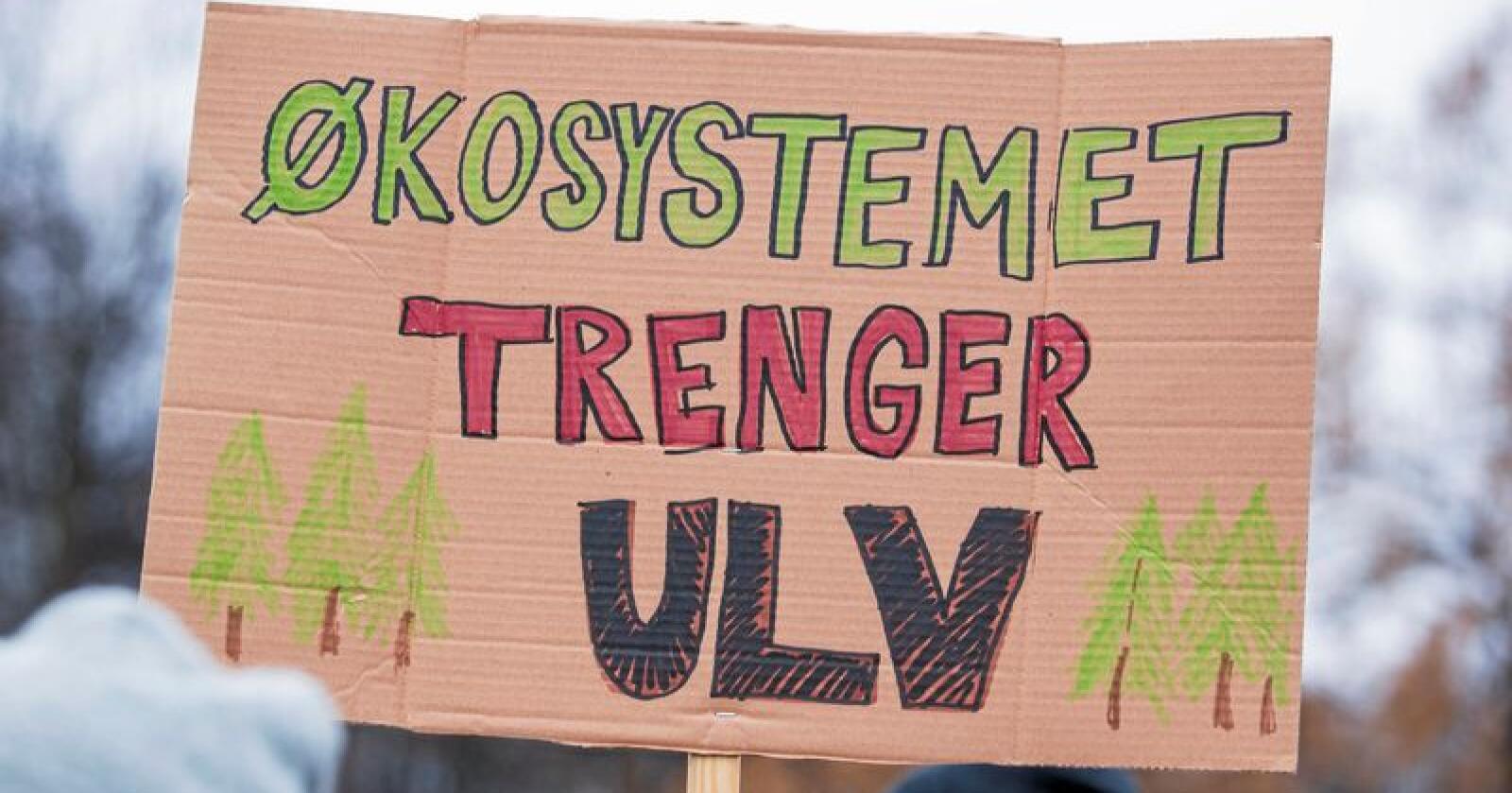 Dyrerettighetsorganisasjonen NOAH arrangerer demonstrasjon mot felling av ulv. Arrangementet holdes på Eidsvolls plass foran Stortinget i Oslo lørdag ettermiddag.Foto: Håkon Mosvold Larsen / NTB scanpix