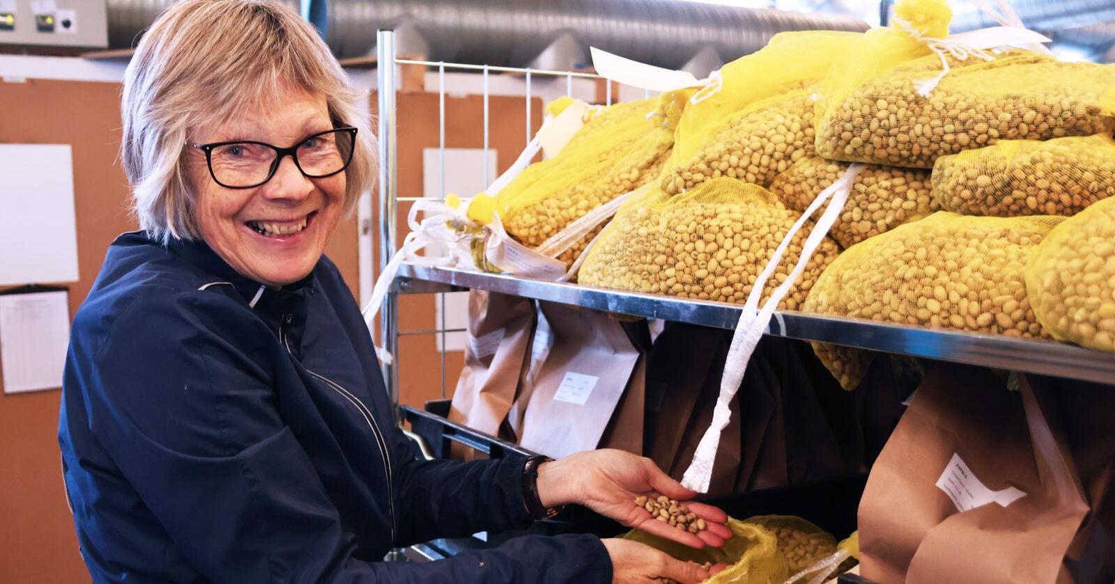 Professor Anne Kjersti Uhlen med noe av årets åkerbønneavling. Foto: Janne Karin Brodin