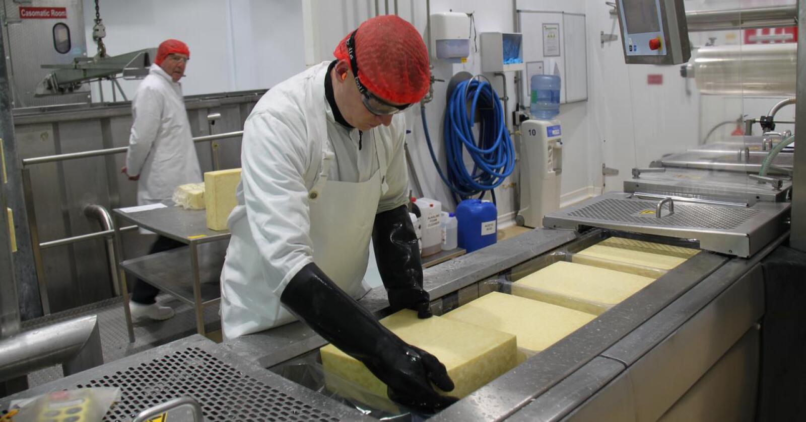 I 2016 var osteproduksjonen i Irland godt i gang. I bakgrunnen går den irske landbruksministeren Michael Creed som da var på besøk på fabrikken. Foto: Hilde Lysengen Havro