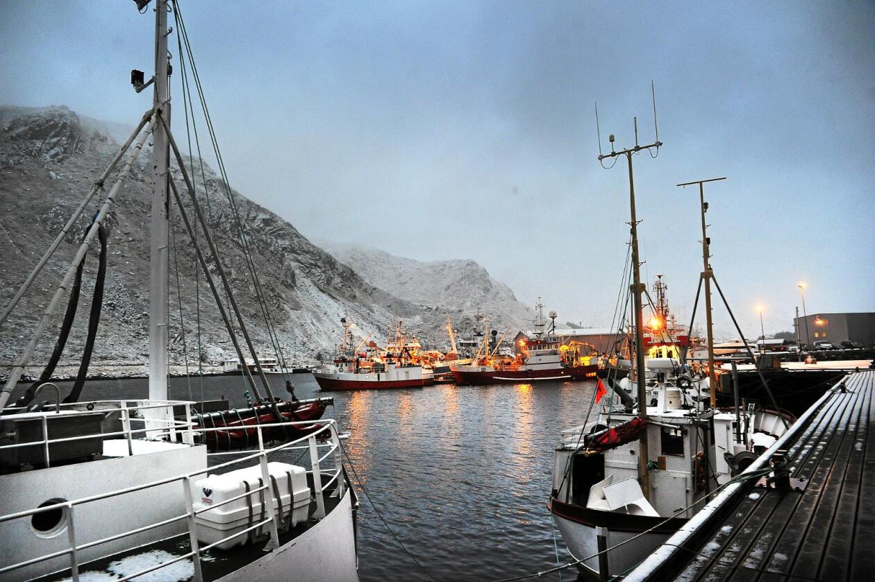 De siste ti årene har fiskerimyndighetene bygget ned kystfiskeflåten, som bidrar best til formålet om sysselsetting og bosetting, skriver kronikkforfatteren. Foto: Siri Juell Rasmussen