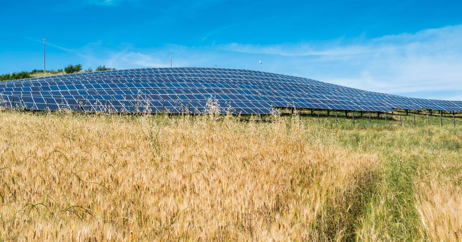 Folkefinansiering av klimatiltak: Av de fire klimateknologiene angir et stort flertall at solceller på låvetak er mest attraktivt å støtte, skriver kronikkforfatterne. Foto: Mostphotos 