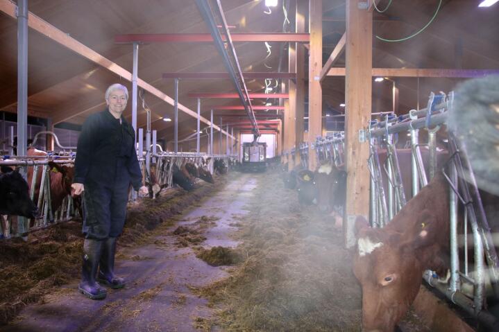 MÆRE: Fra fjøset på Mære landbruksskole. Utviklingsleder Tove Hatling Jystad står på fôrbrettet.