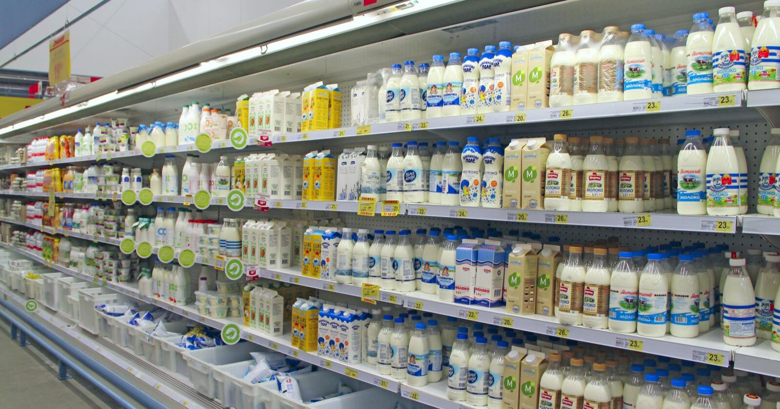I Belgia har inntekta bønder får for melkesalg økt enormt det siste året. Foto: Alex Matvienko/Mostphotos