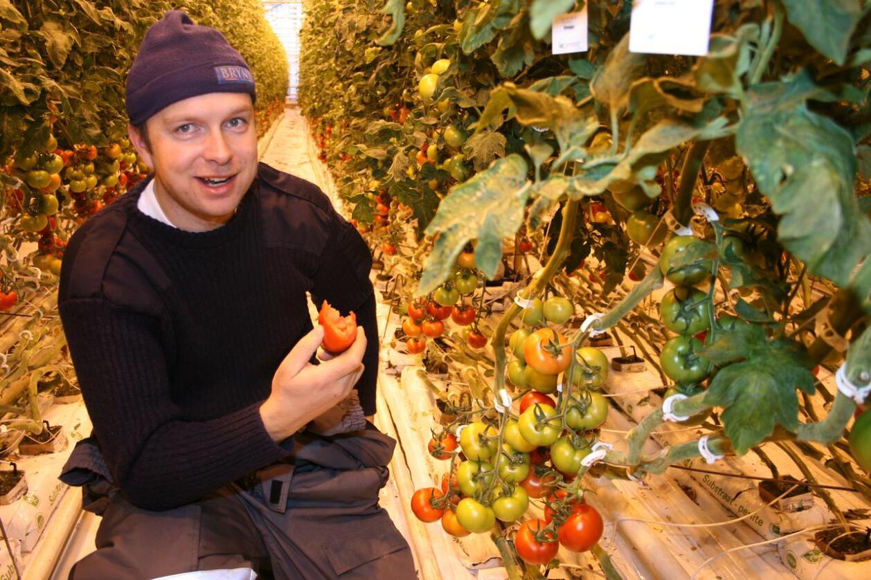 Tomatbonde og gartner Jøran Wiig har fått utgiftene til strøm og energi økt med 5,5 millioner så langt i år. Foto: Bjarne Bekkeheien Aase