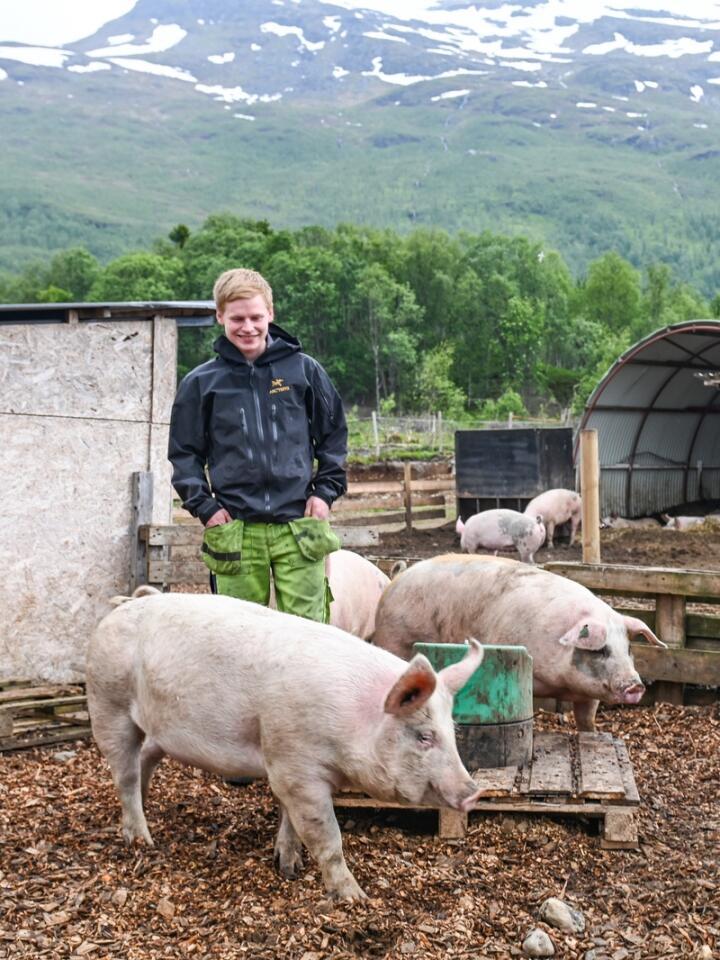 Trives ute: Eirik og Tonje Østring har lagt til rette for at grisene skal kunne bo ute hele året. De har tilgang på isolerte hus med halm og frostfritt vann.