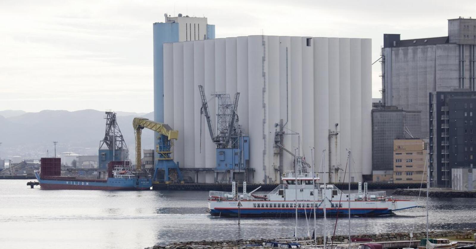Rivingstruga: Stavanger Havnesilo, som kan romme nok korn til over eit halvt års forbruk her i landet, kan bli riven. Dermed kan det gå over sju år før ein får bygd opp nok lagerkapasitet til å dekke eit halvt års forbruk viser rapport. Foto: Norgrain