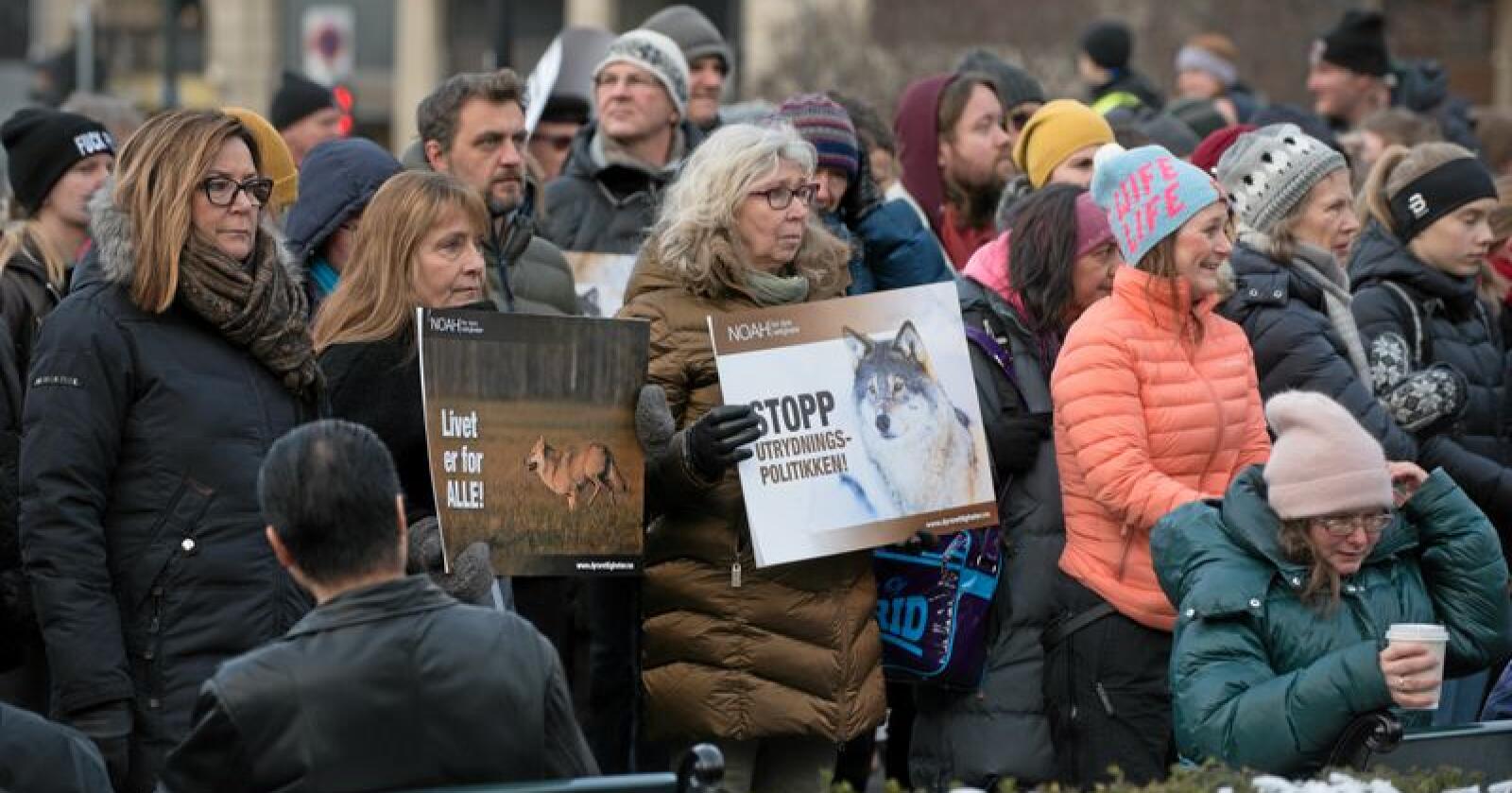 Demonstrasjon for ulv utenfor Stortinget. Foto: Vidar Sandnes