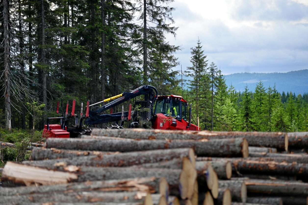 Kostnad: Å kjøpe nye skogsmaskiner er en stor investering. Foto: Siri Juell Rasmussen