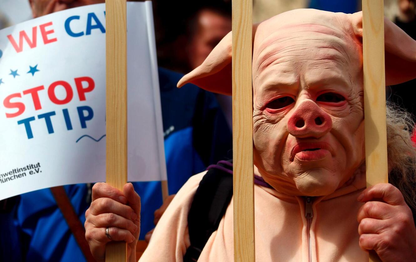 TTIP-protest: Motstanderne må innstille seg på ny retorikk. Bildet er fra en demonstrasjon i München i april.