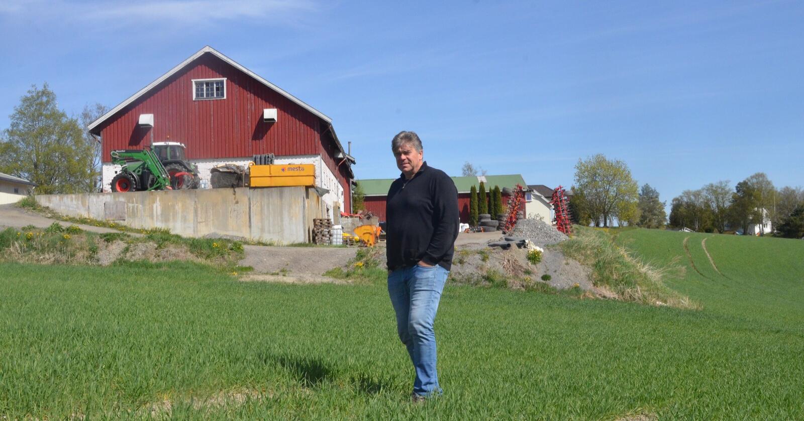 Ny tørke: Lars Olav Rogstad driver omtrent 2000 dekar med korn. Han skal investere i ny korntørke og tilhørende lager. Her står han i hveteåkeren, og i bakgrunnen ser du det gamle grisehuset, som skal rives for å gjøre plass til tørka. 