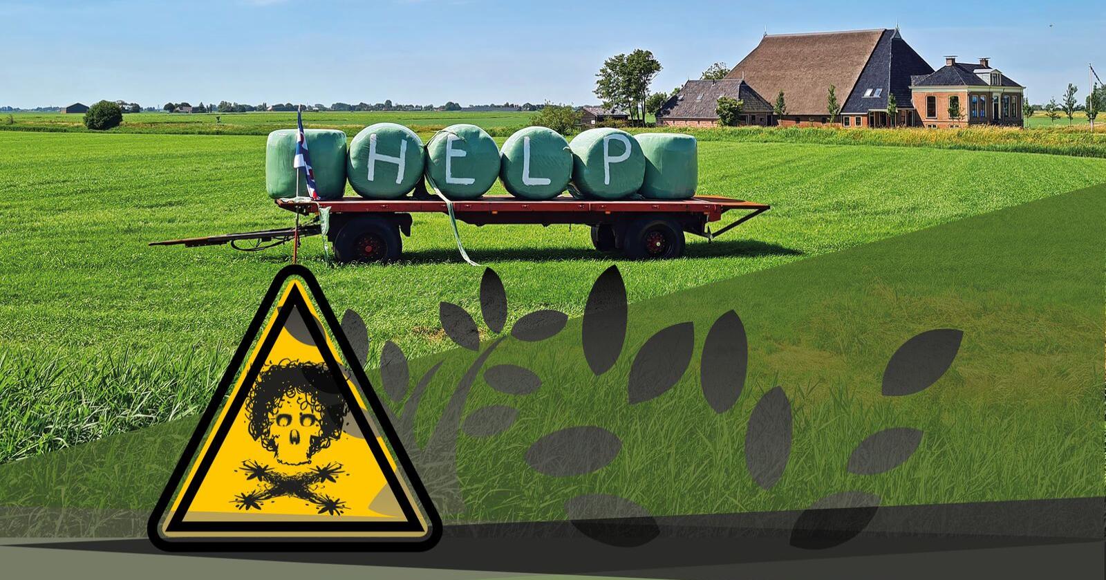 I Nederland er det gjort drastiske grep for å redusere nitrogenutslipp. Tiltakene går hardt ut over bøndene i landet. Foto: Mostphotos / Illustrasjon: Käthe Friess 