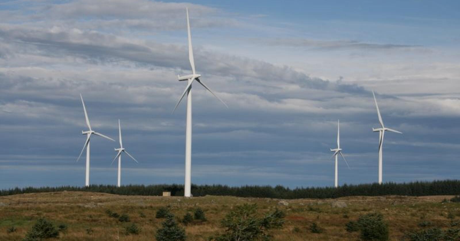 Vindmøller på Høg-Jæren i Rogaland, som er ein av dei største vindkraftparkane i landet. Foto: Bjarne Bekkeheien Aase