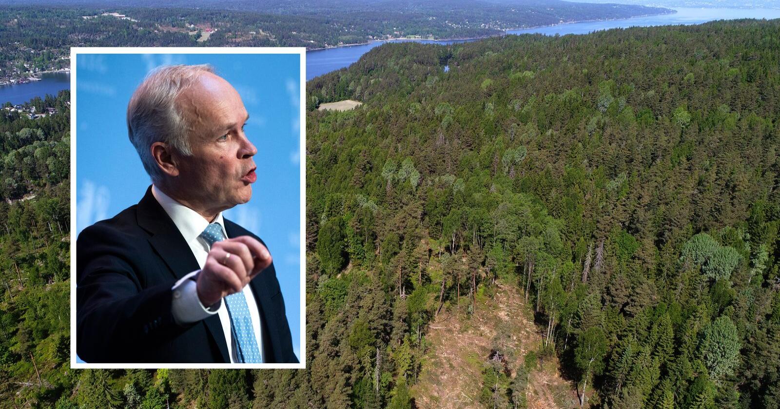 Jan Tore Sanner sier norske myndigheter ønsker at skogbruket skal klassifiseres som bærekraftig etter eksisterende kriterier. Foto: Cornelius Poppe og Berit Roald / NTB