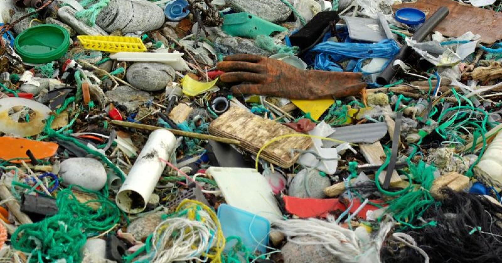 Alle som arbeider for å hindre at plast havner i naturen kan søke om midler. Enten det er for å redusere forsøplingen, øke gjenvinningen eller redusere bruken av plastposer. Foto: Bo Eide