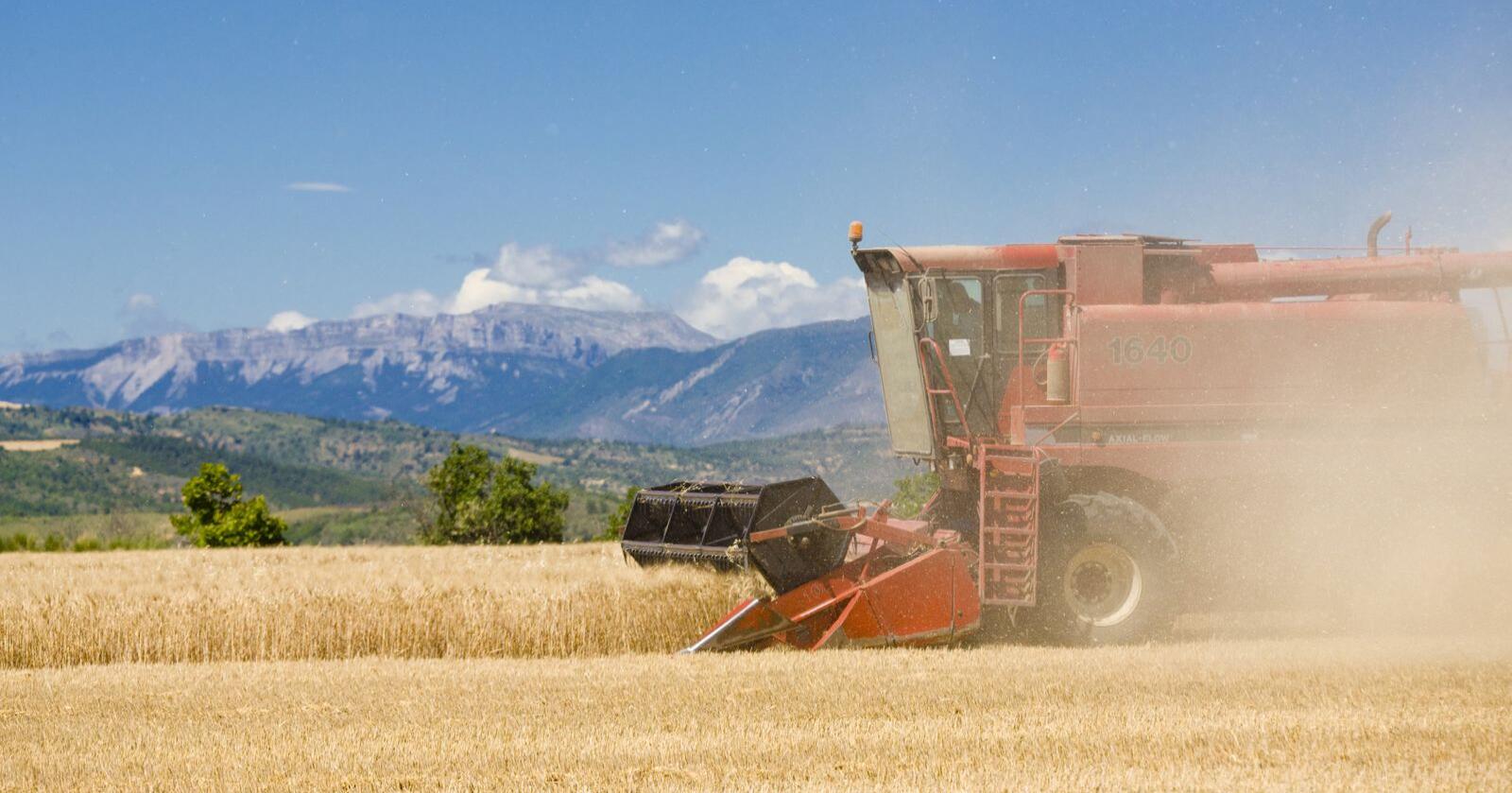 Frankrike sliter med tørke, og ligger nå an til redusert produksjon av korn i 2022. De nordiske landene ligger derimot an til økt produksjon. Foto: Mostphotos