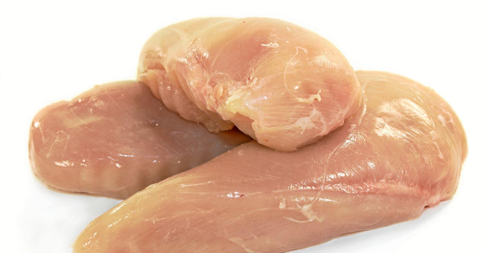 EU har importforbud mot kyllinger som er blitt vasket med klor, fordi unionen frykter at det er en sovepute for dårlig hygiene i amerikansk fjørfeindustri. Nå vil USA overtale EU til å snu. Foto: Nationen