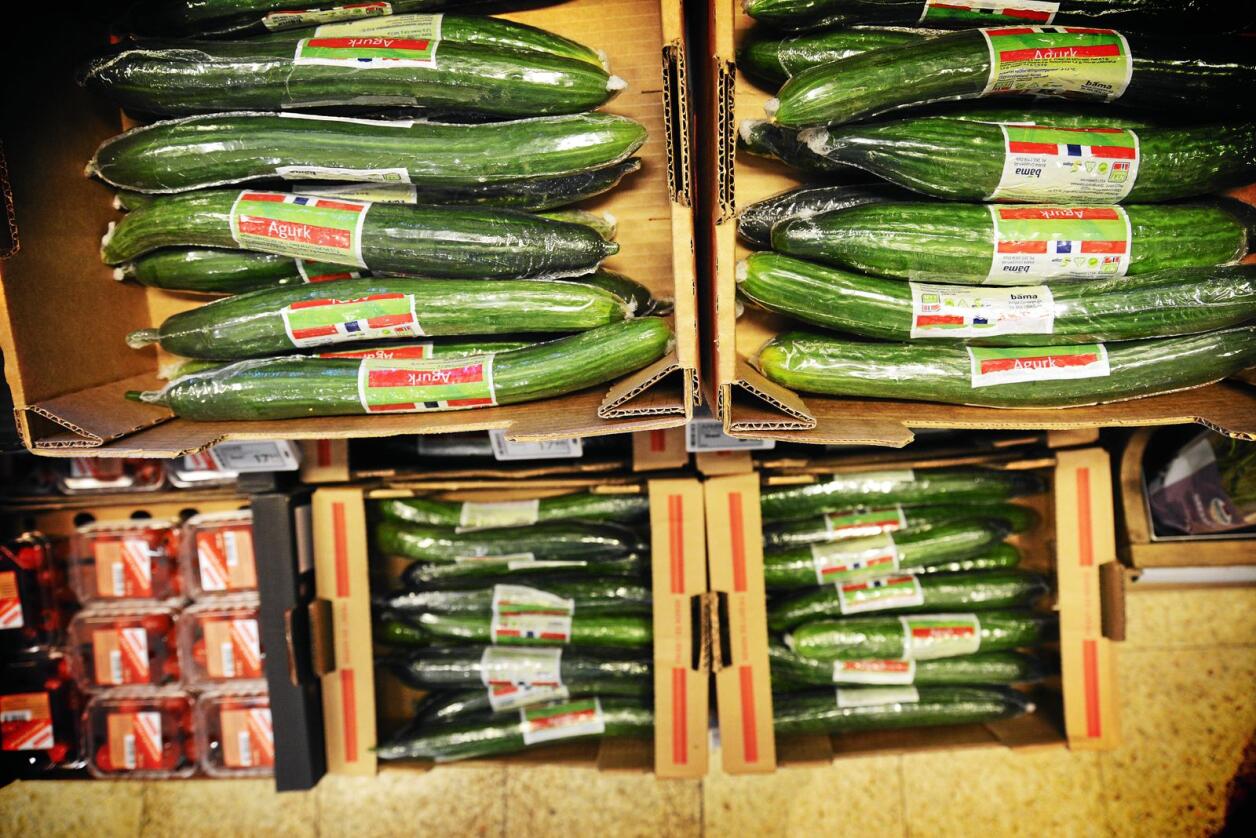 Frankrike kan ikke lenger selge agurker innpakket i plast. Foto: Siri Juell Rasmussen