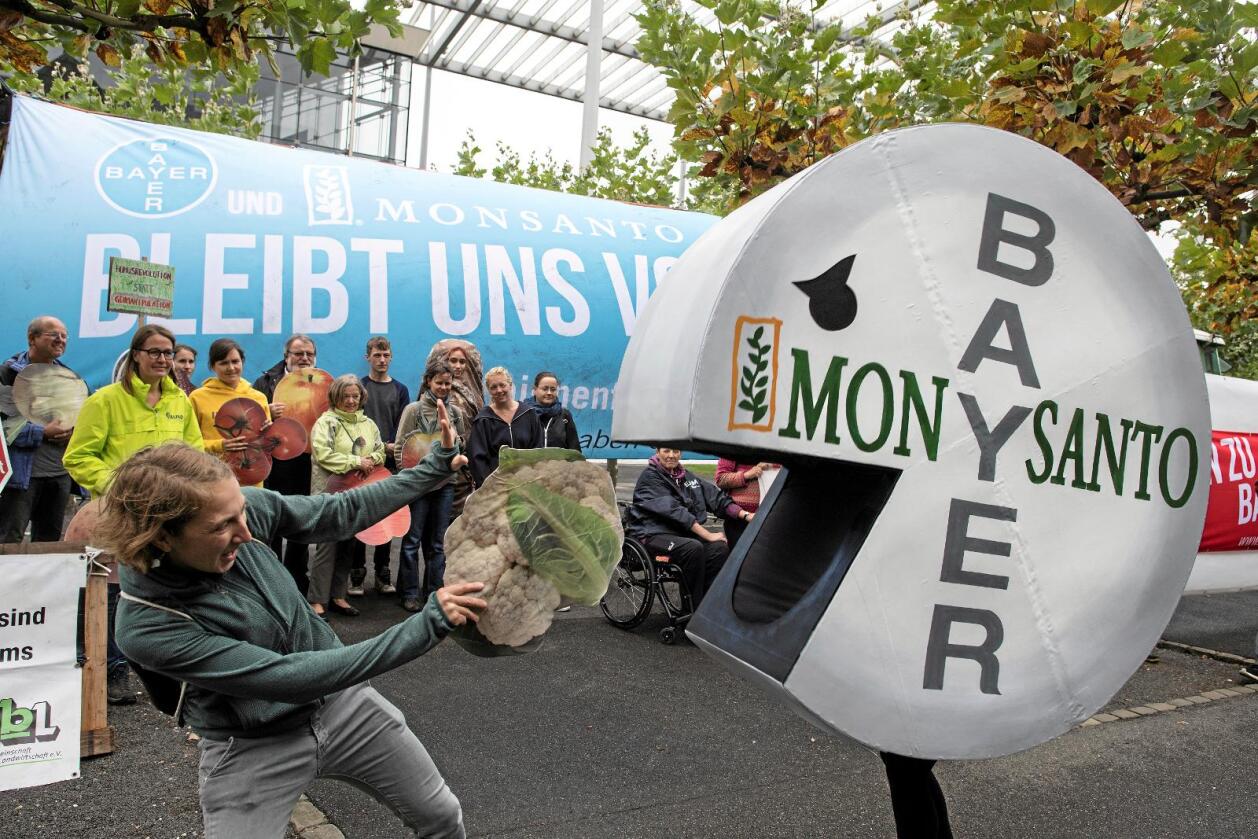 Bayers planlagte oppkjøp av Monsanto er omstridt. Her fra en demonstrasjon mot planene i den tyske byen Leverkusen tidligere i høst. Foto: Federico Gambarini/AP/NTB scanpix