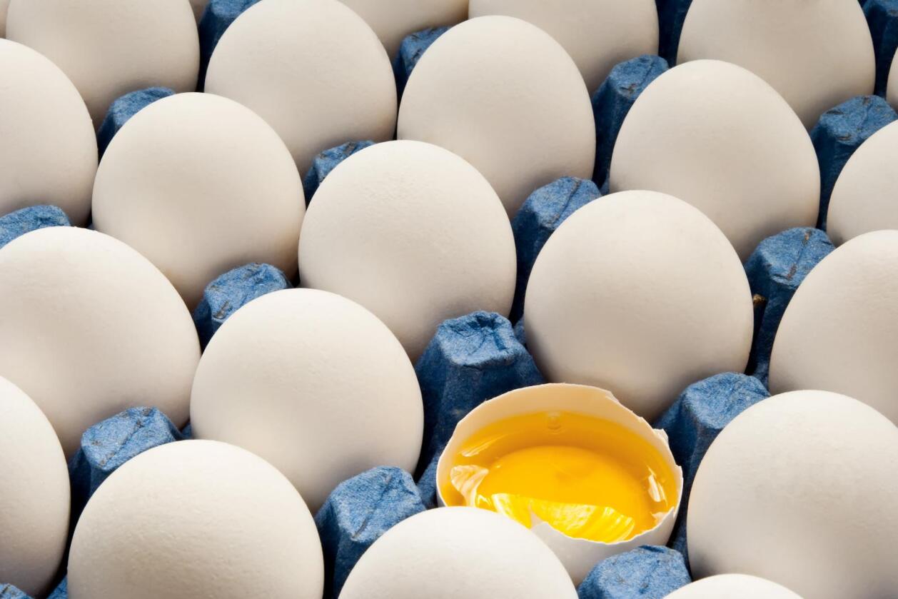 Prisen på egg på den internasjonale marknaden har auka den siste månaden. Foto: Colourbox
