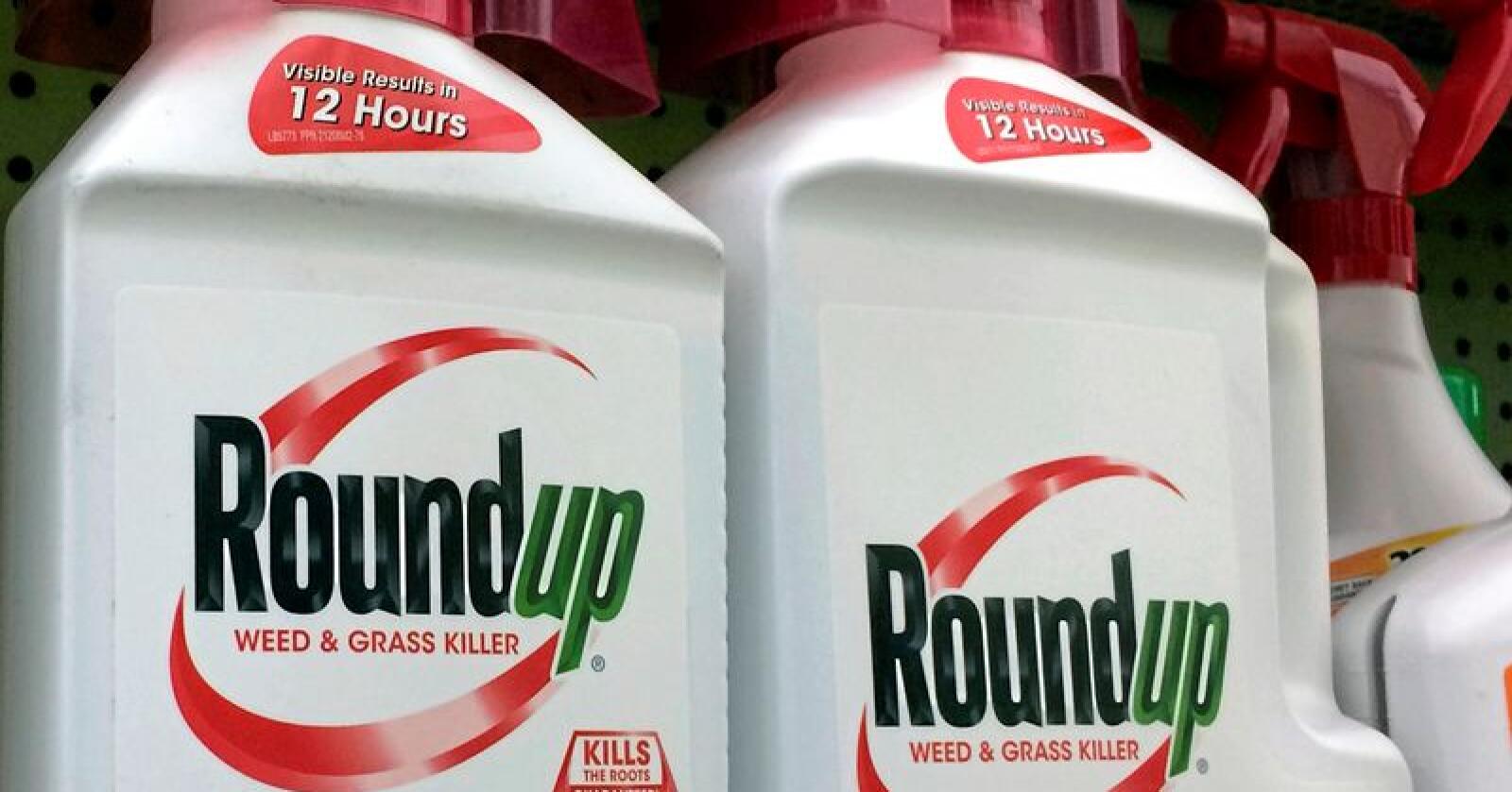 Omstridt: Glyfosat, mest kjent under merkenavnet Roundup, er god butikk for produsentene.  Foto: Reed Saxon / AP / NTB scanpix