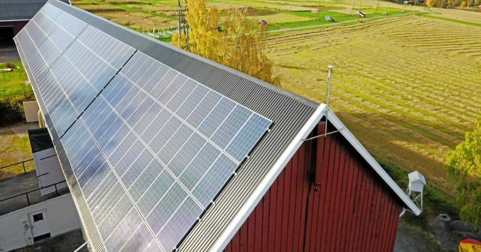 Solenergi Norge, som leverer og monterer solcelleanlegg, forteller om rekordetterspørsel etter at strømprisene skjøt i været i høst. Foto: Nbio