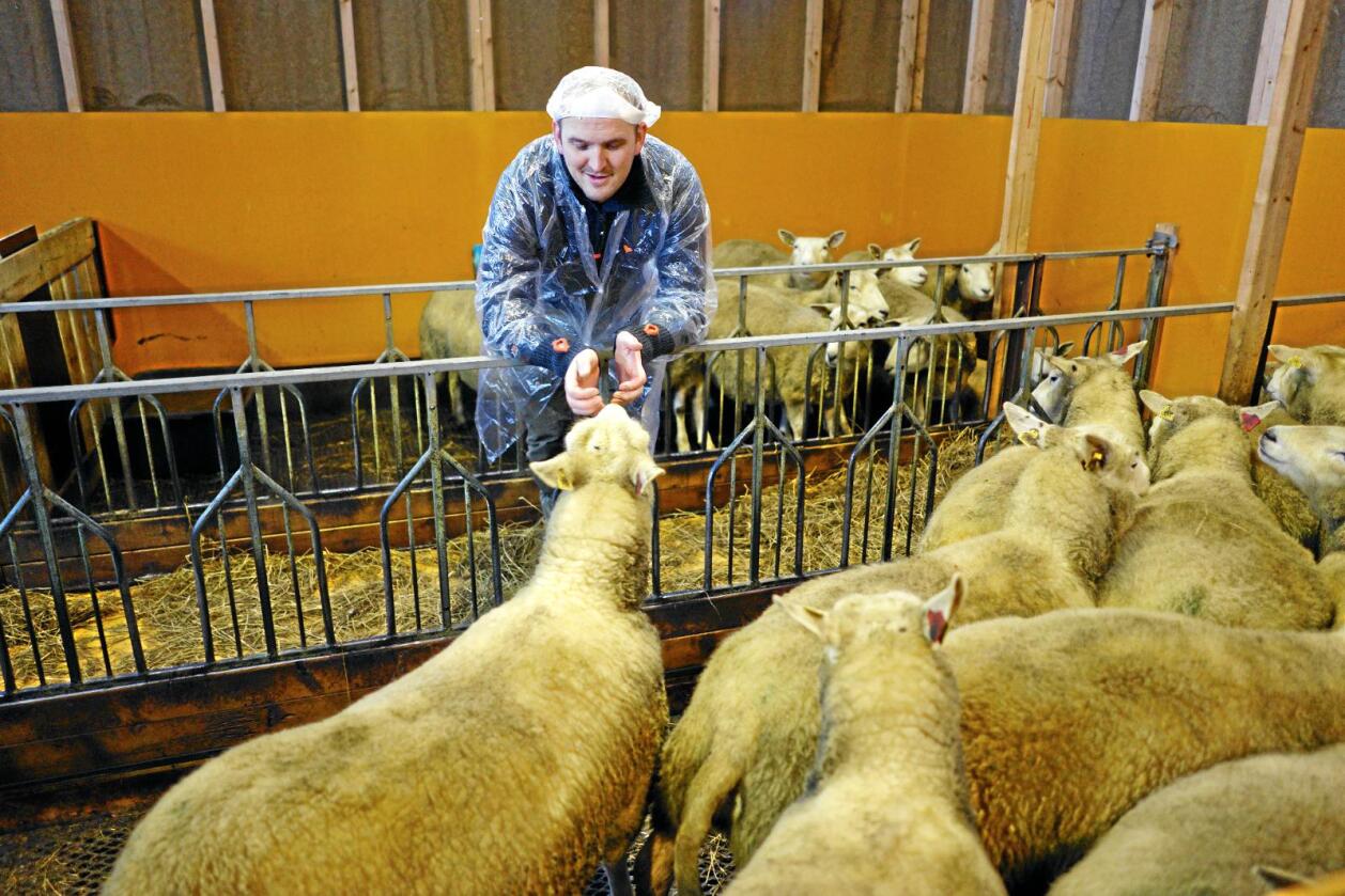 Ny politikk: Det er knytt store forventningar til jordbruksmeldinga landbruksminister Jon Georg Dale legg fram fredag. Foto: Ketil Blom Haugstulen
