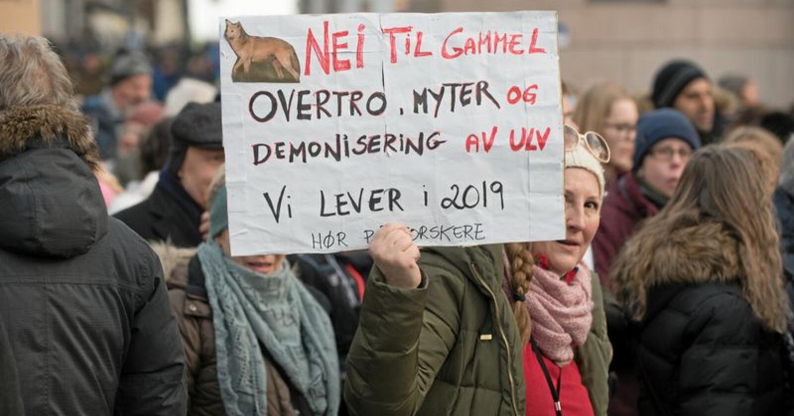 Pro ulv: Demonstrasjon for ulv utenfor Stortinget. Foto: Vidar Sandnes