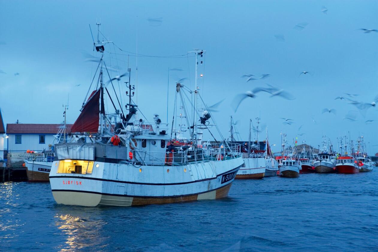 Dommen i lagmannsretten denne måneden, der et litauisk rederi ble funnet skyldig i ulovlig fiske av snøkrabbe, stadfester Norges kontroll over havbunnen i området. Illustrasjonsfoto: Berit Roald / NTB scanpix