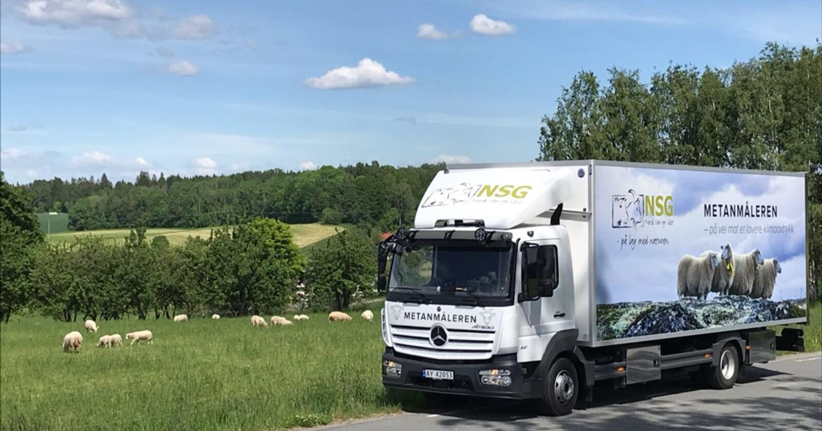 Denne lastebilen skal reise rundt i Norge det neste året for å undersøke om sauens metanproduksjon er arvbart. Foto: Norsk Sau og Geit