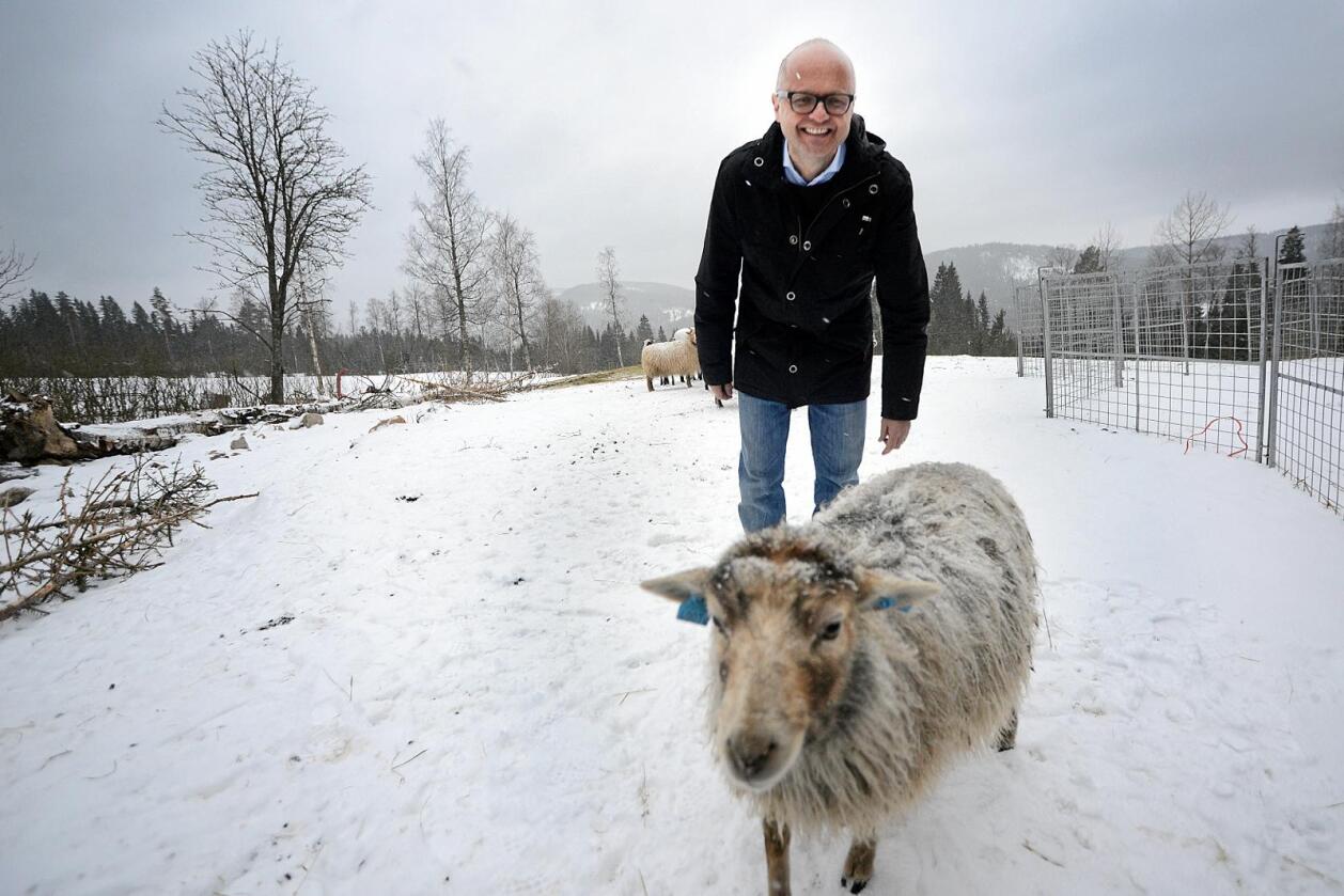Vidar Helgesen (H), ansvarlig ulveminister, fra hans besøk hos Merete Furuberg, leder av Småbrukarlaget, for et år siden. Foto: Siri Juell Rasmussen. 