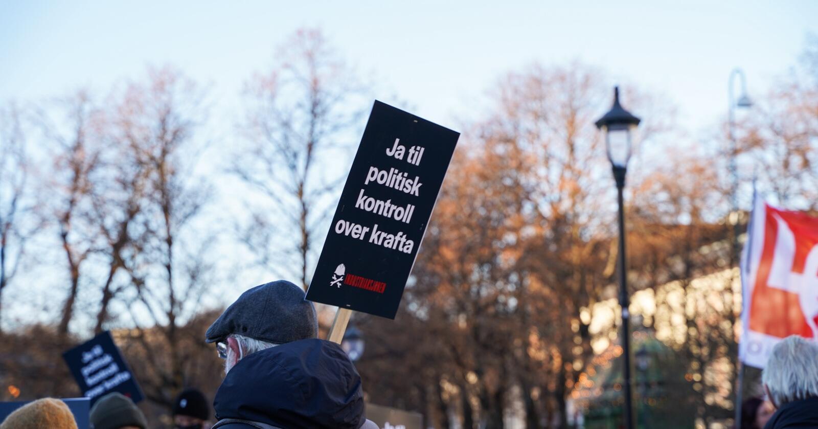 Her fra en demonstrasjon utenfor Stortinget. "Ja til politisk kontroll over krafta". Foto: Ingrid Godager