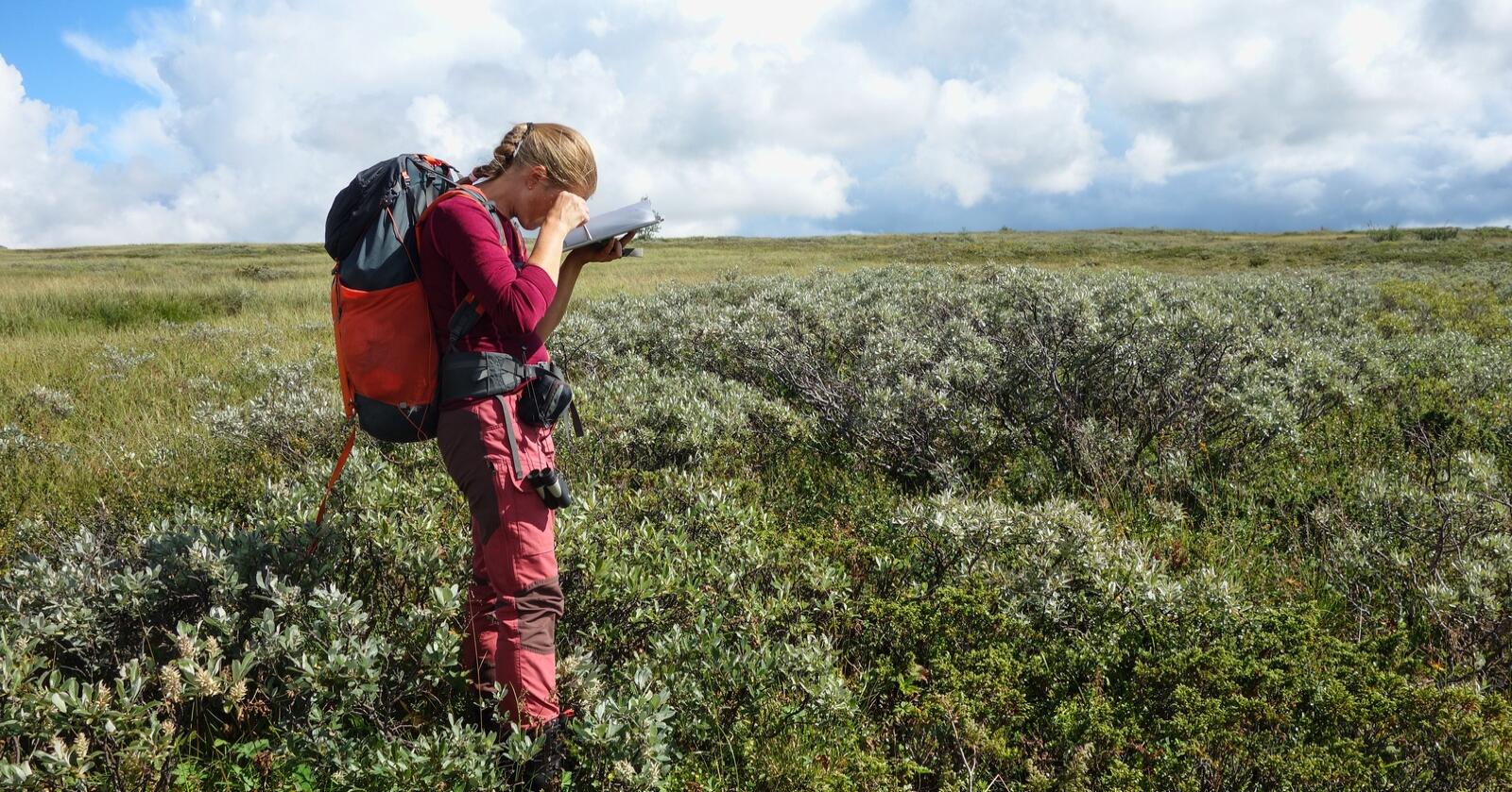 Forsker Ragnhild Mobæk i Nibio var med på et ti år langt prosjekt for å skaffe bedre oversikt over blant annet myra i Norge. Foto: Michael Angeloff/Nibio