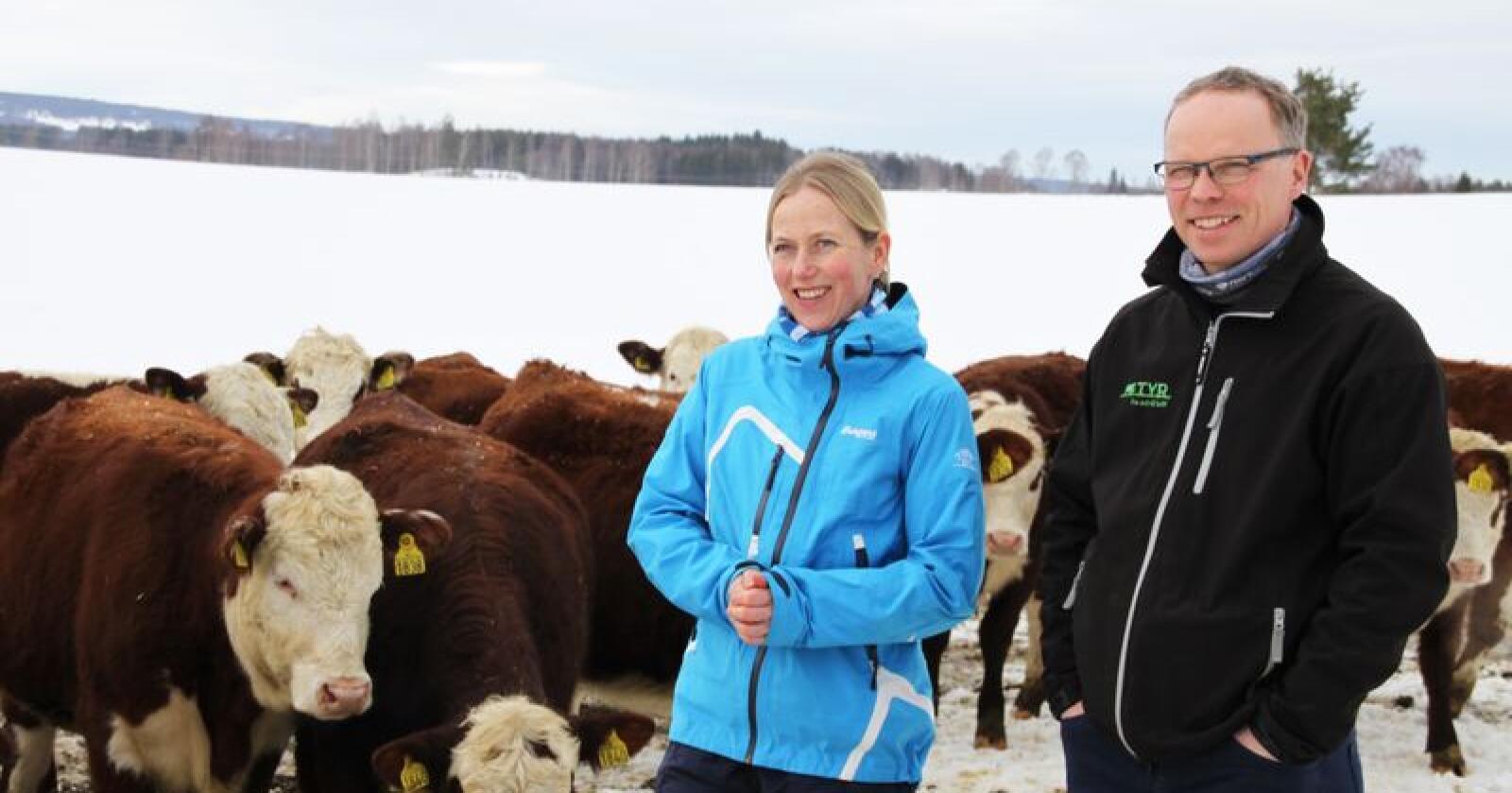 Anne og Johannes Ingvoldstad har om lag 150 dyr på gården på Vang utenfor Hamar. Foto: Lars Bilit Hagen