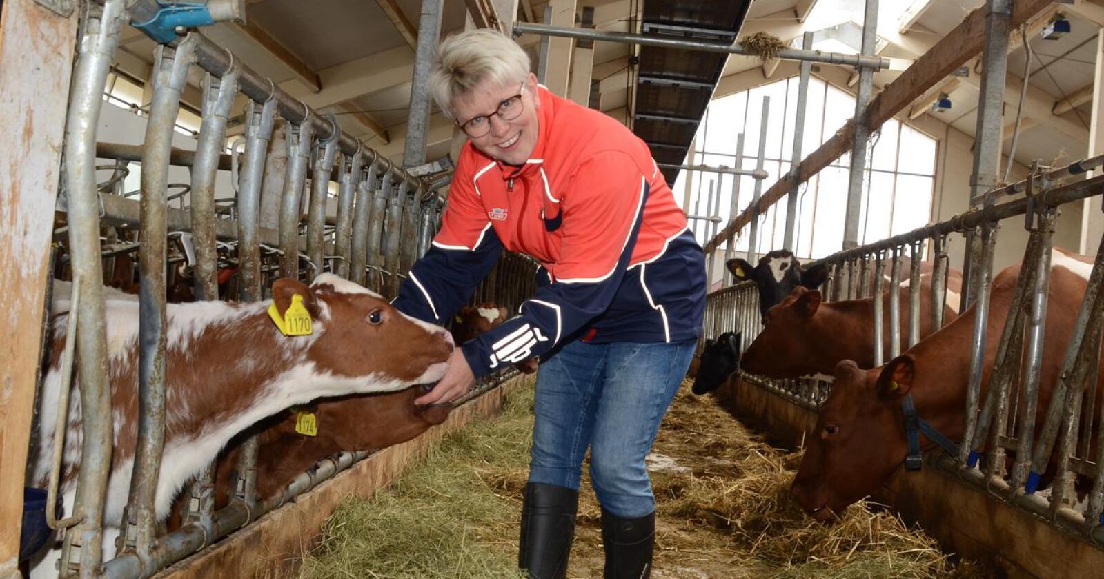 Fornøyd: Løsningen for melkesektoren er balansert og tilfredsstillende – både på import og eksport, mener Tines styreleder Marit Haugen. Her er hun på hjemgården i Steinkjer. (Foto: Linda Sunde)