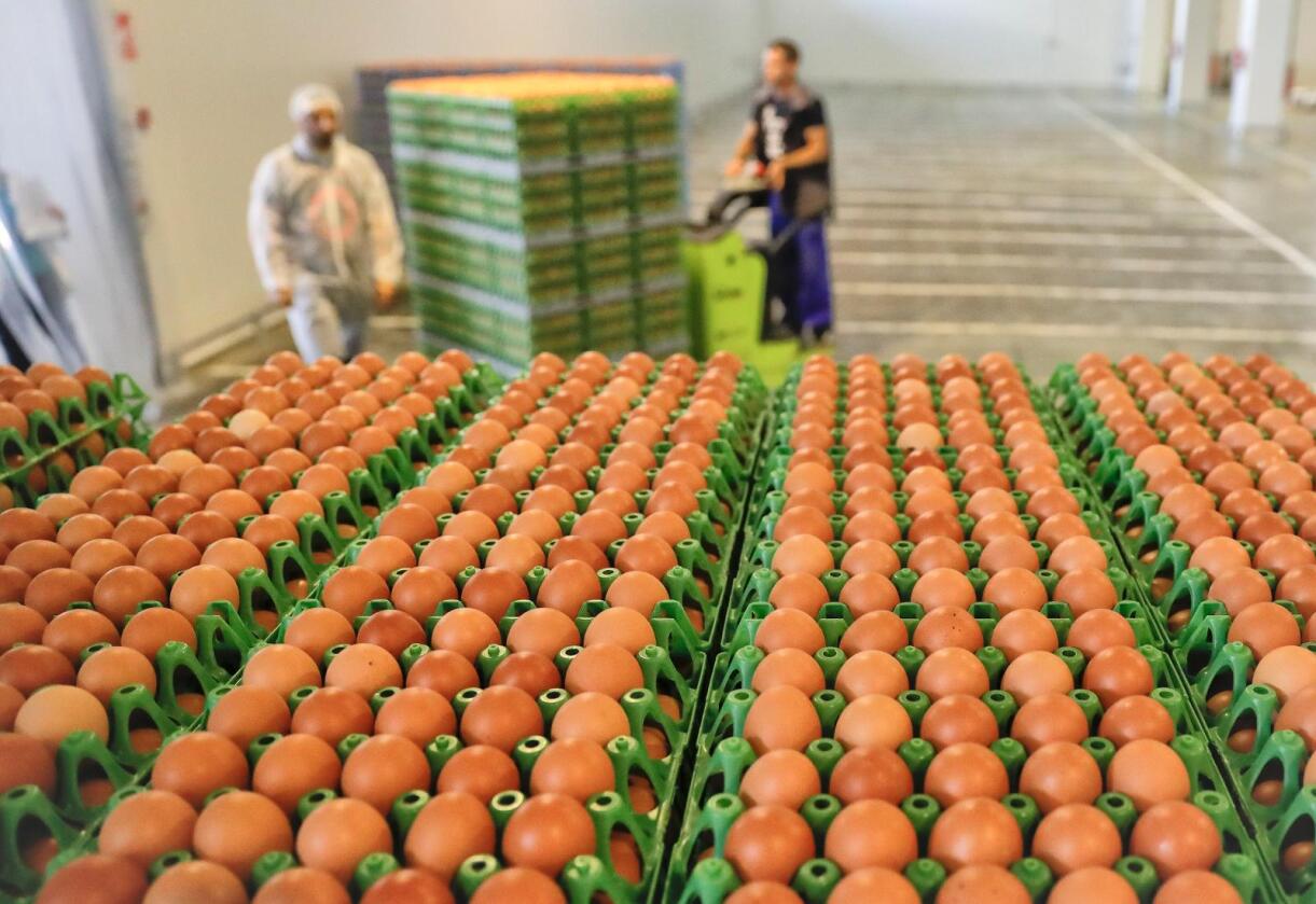Egg på et lager i Gaesti i Romania. Foto: Vadim Ghirda / AP / NTB scanpix