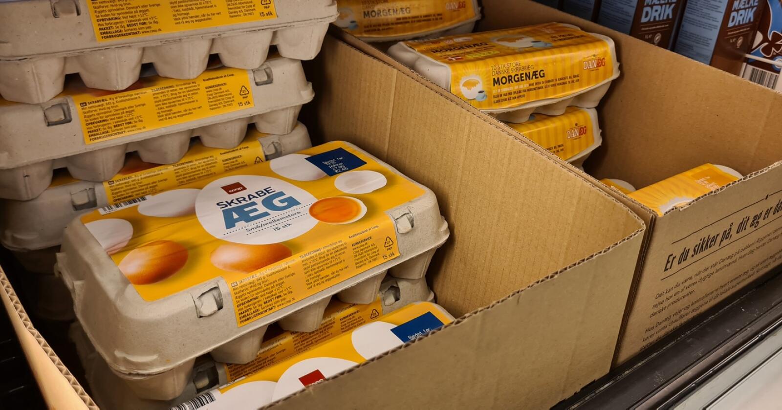 Danske eggprodusenter har allerede gått konkurs i forbindelse med den kraftige kostnadsveksten. Flere henger i en tynn tråd og ber om økte priser. Foto: Jon-Fredrik Bækgaard Klausen