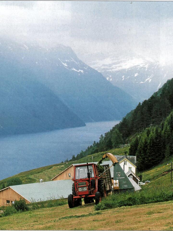 Storslått: På 70-tallet kunne en hel verden se reklamefilmen der en Volvo BM T430 med Serigstad fôrhøster, slår gras i de bratte bakkene på Sunnmøre.